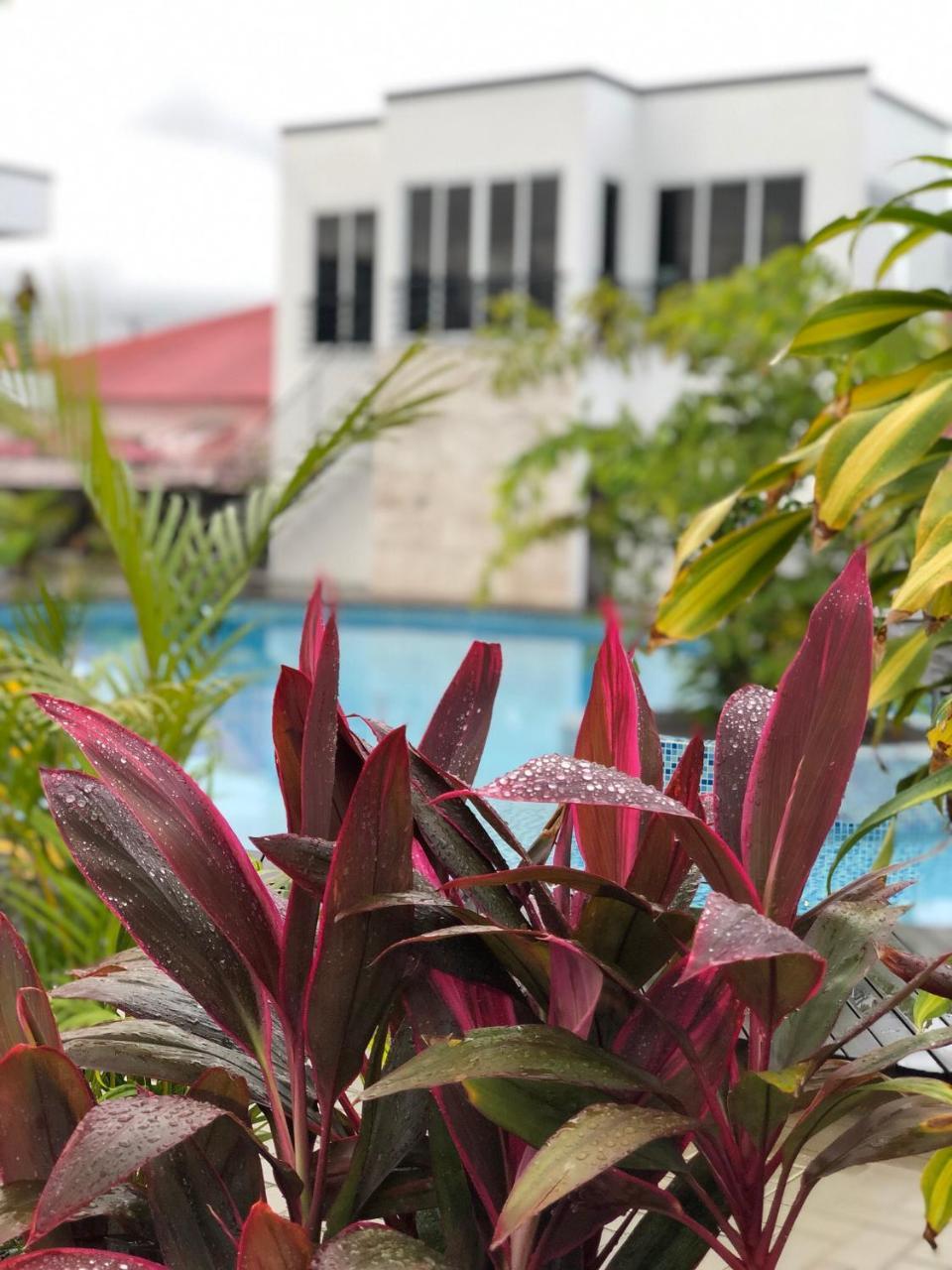 Tucan Resort & Spa ปารามารีโบ ภายนอก รูปภาพ